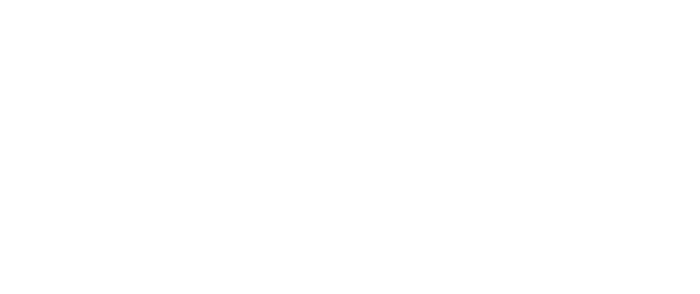 PPAlogobianco